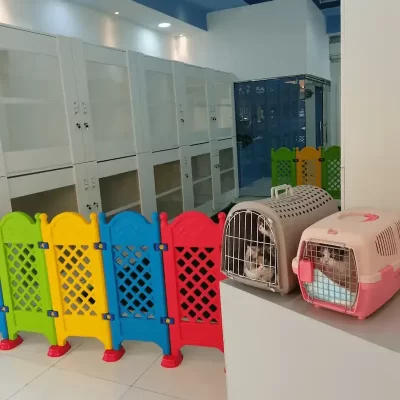 Pet Boarding Centre in Sharjah